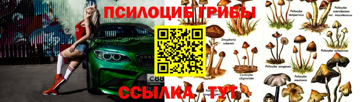 Галлюциногенные грибы мицелий Качканар